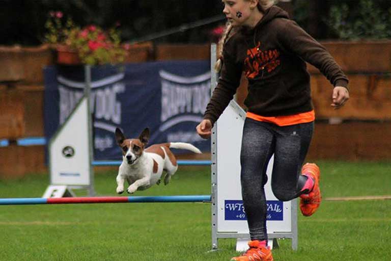 Agility Turnier